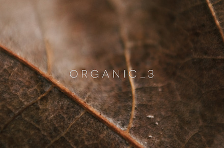 Organic 3 | 20 Botanical Photos, a Nature Photo by Melanie Helena
