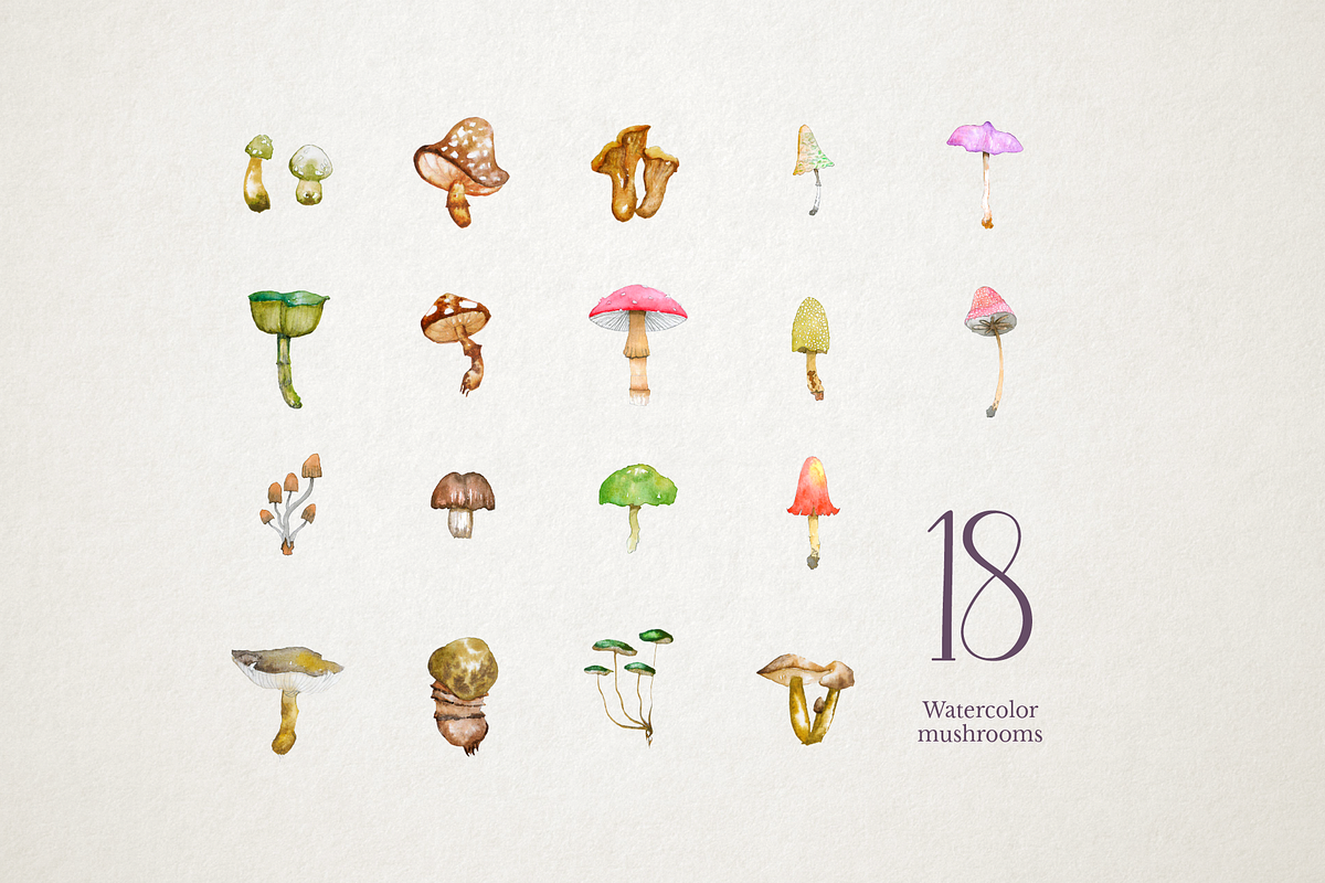 Watercolor mushrooms - Spore Den, a Food Illustration by Bunichi (Photo 2 of 9)