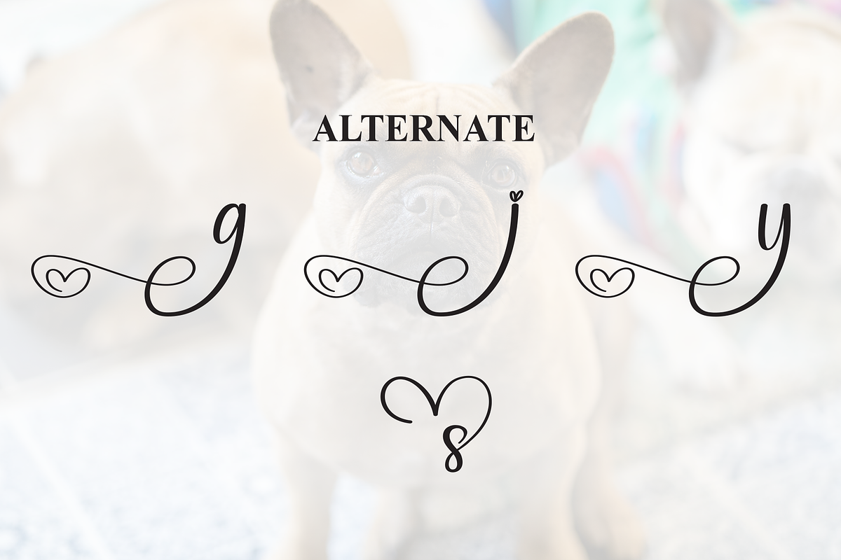 Bulldogs | Script Font, a Handwritten Font by Scratchones (Photo 8 of 9)