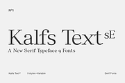 Kalfs Text sE, a Serif Font by silukEight (Thumbnail 1 of 10)
