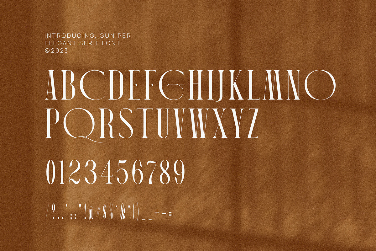 Guniper Elegant Serif Font Typeface, a Serif Font by Graphicxell (Photo 10 of 10)