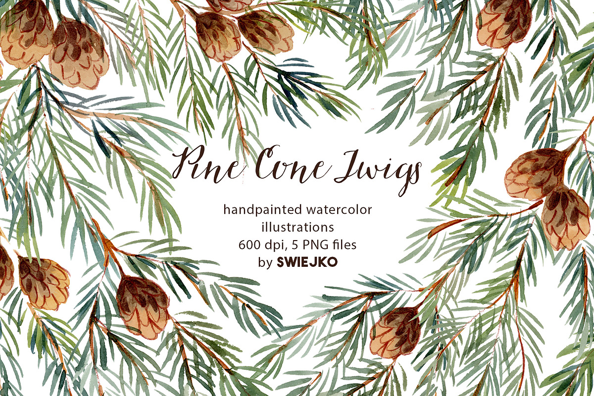 Pine Cones, hand painted clipart, a Seasonal Illustration by swiejko (Photo 1 of 5)