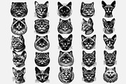 Cat Breeds SVG & PNG Bundle, an Illustration by M9 Design (Thumbnail 2 of 4)