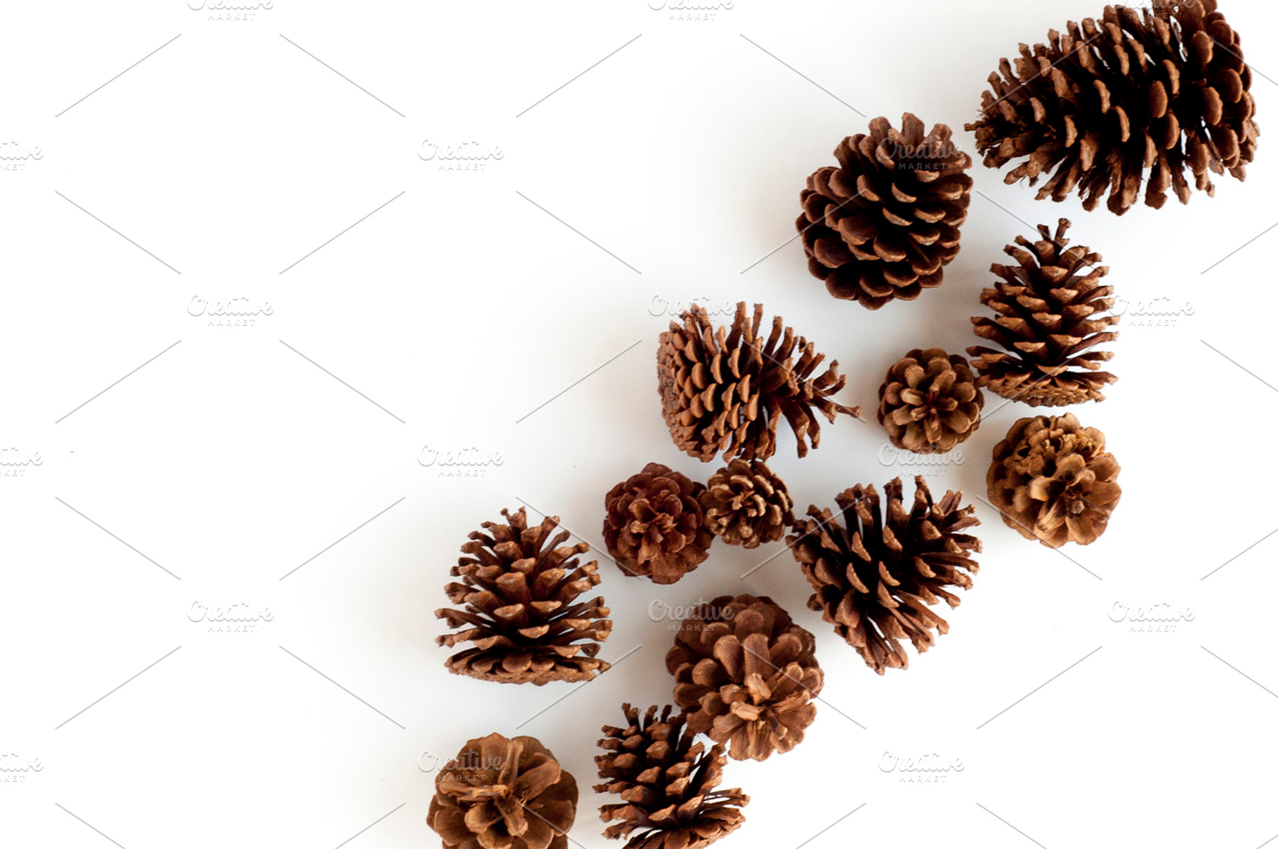 Pine cones stock image stock photo containing christmas stock image and, a Holiday Photo by Handmade Creative 