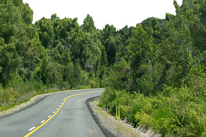 Isolated image of empty highway crossing forest landscape, a Nature Photo by DanFLCreativo