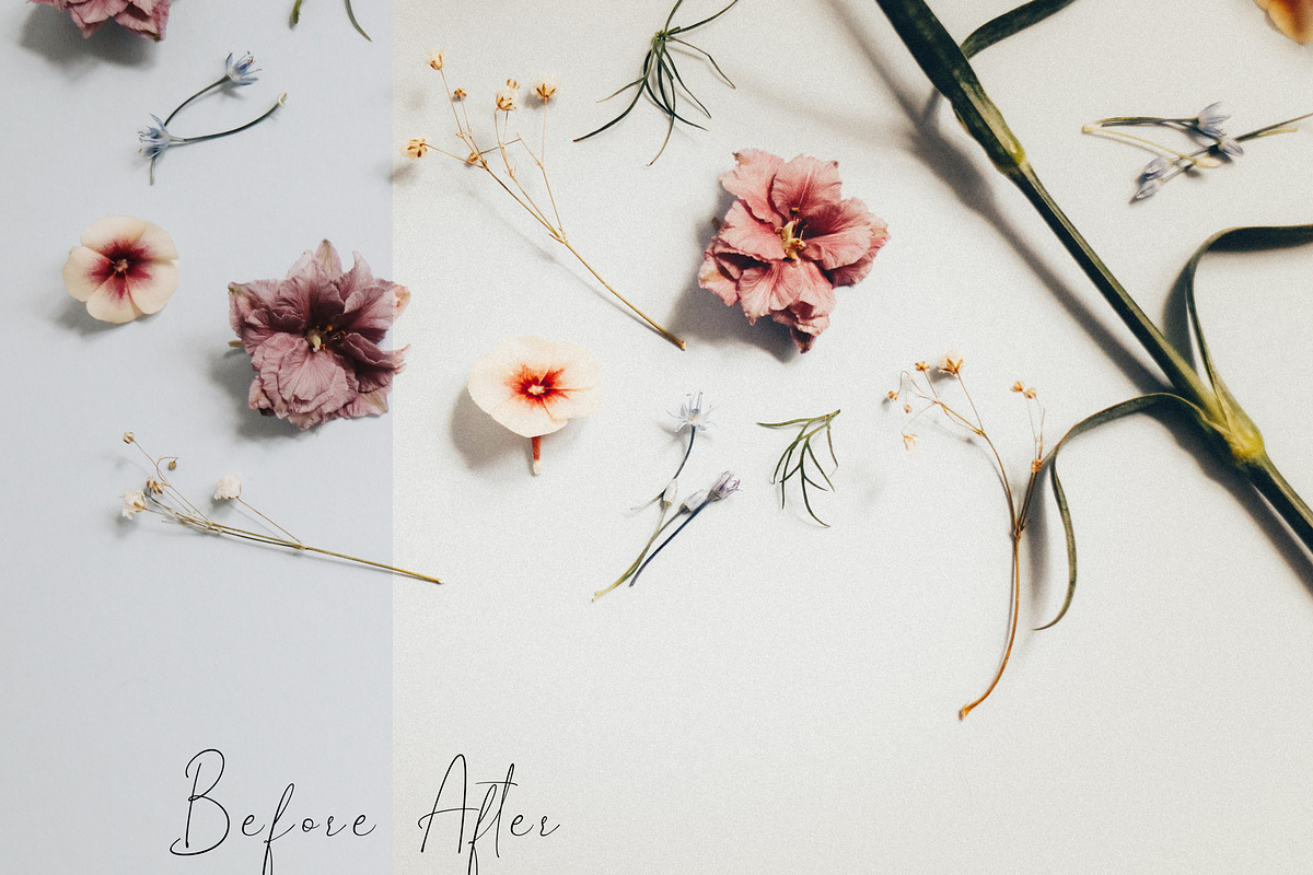 Mobile Lightroom Presets, an Action Add-On by The Red Pine (Photo 12 of 13)