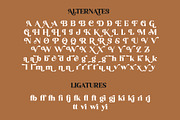 Sunshine Orange - Retro Serif Font, a Serif Font by Myn Type (Thumbnail 12 of 13)