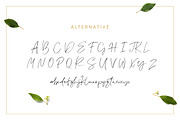 Lemonade Fonts Duo, a Script Font by kavoon (Thumbnail 15 of 20)