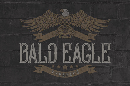 Bald Eagle Typeface, a Symbol Font by Gleb Guralnyk