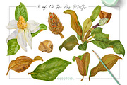 Southern MAGNOLIA-Vintage Clipart, an Illustration by watercolorwild.graphics (Thumbnail 5 of 7)
