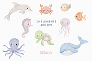 Little sea Clipart, an Animal Illustration by Articlips (Thumbnail 6 of 7)