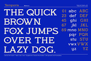 Temporis - Serif Font Family, a Serif Font by Artistic & Unique (Thumbnail 2 of 13)