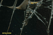 Cracks - Shattered Glass Textures, a Texture Graphic by BLKMARKET© (Thumbnail 4 of 6)
