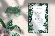 Tropical Wildlife Watercolor set, an Illustration by Ann Art Houze (Thumbnail 6 of 13)