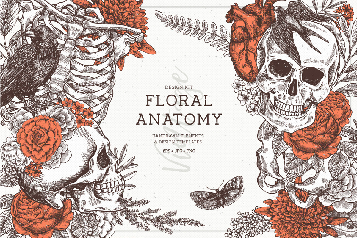 Floral Anatomy, an Illustration by adehoidar (Photo 1 of 9)