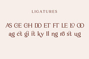 MONTECI Serif Font, a Serif Font by Pista Mova (Thumbnail 8 of 8)