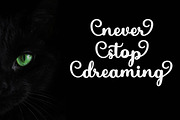Fantasy Script, a Script Font by Bosstype Studio (Thumbnail 5 of 8)