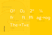 Laire Sans | 40 Font + Variable Font, a Sans Serif Font by Jolicia Type (Thumbnail 5 of 13)