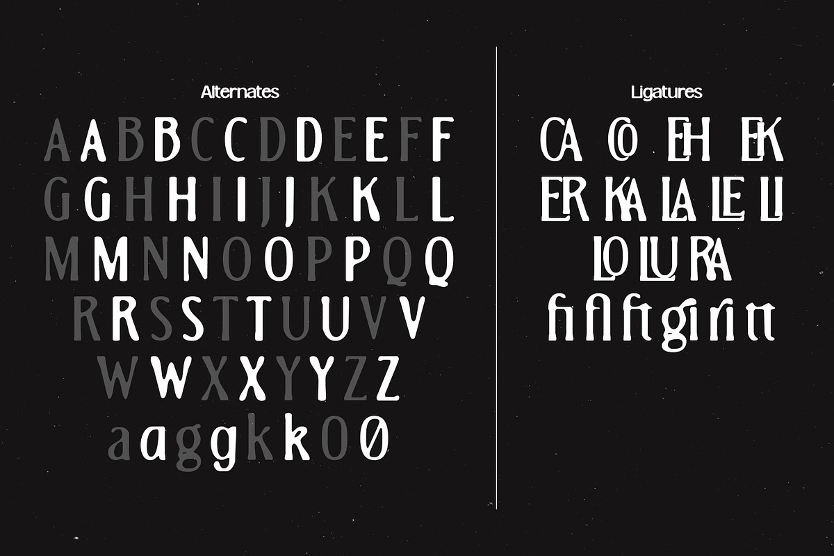 MN Caviere - Blurred Serif Typeface, a Handwritten Font by Mantra Naga (Photo 7 of 15)