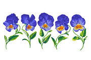 Blue Pansies Vector Set, an Illustration by MarynaPetrovska (Thumbnail 11 of 15)