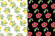 Set 40 hand drawn plants., an Object Graphic by MarinaVorontsova (Thumbnail 8 of 8)