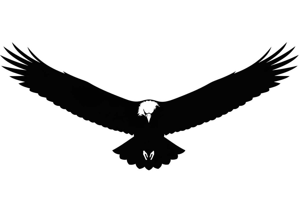 50 Flying Eagle Silhouette Vector Bu, an Illustration by Designs_River (Photo 45 of 51)