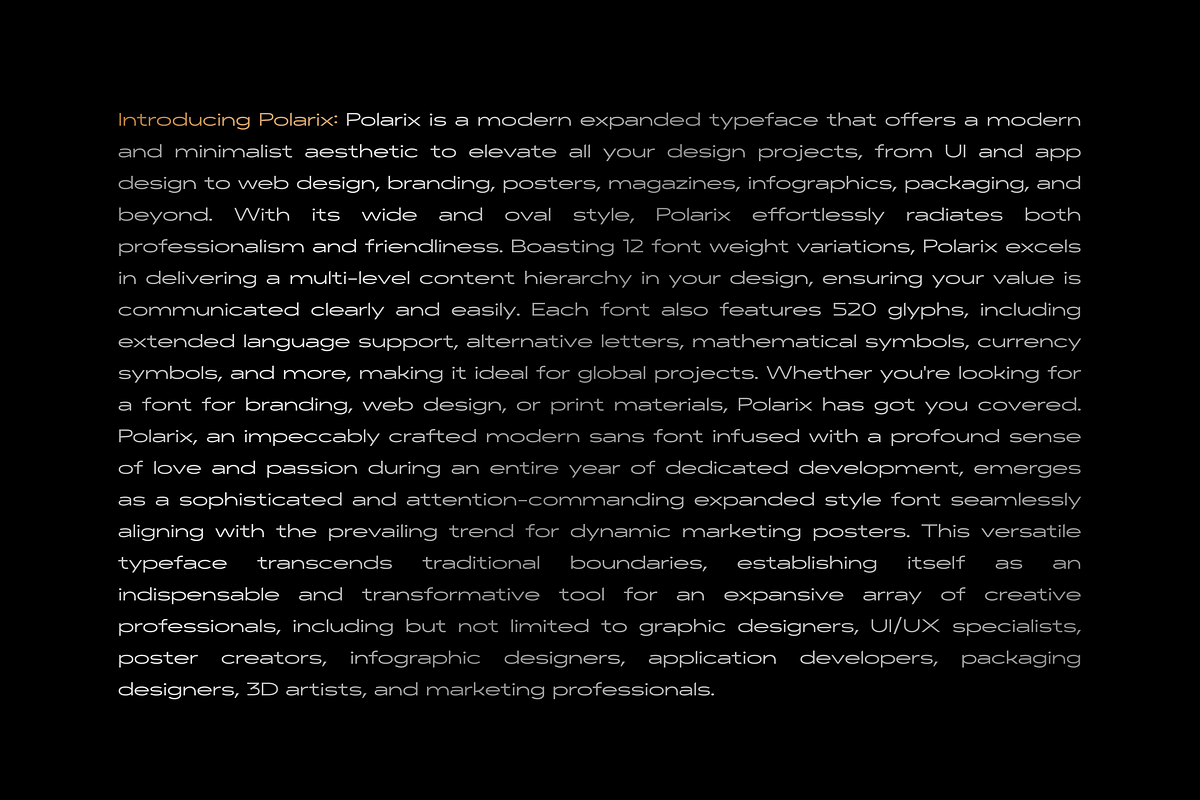POLARIX FONT FAMILY - 24 fonts, a Sans Serif Font by Peninsula Studioz (Photo 5 of 8)