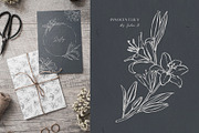 Innocent Lily - Floral Line Art, an Illustration by Julia M. Watercolor (Thumbnail 7 of 11)
