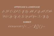 Wollshine, a Script Font by yanindesign (Thumbnail 9 of 10)