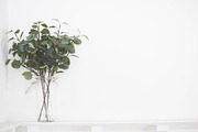 Farmhouse Living Room Photo Bundle, a Photo by Hudson Farmhouse (Thumbnail 3 of 8)