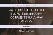 Volance – A Modern Sans Serif Font, a Sans Serif Font by overlaytemplates (Thumbnail 4 of 5)