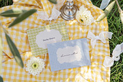 Dolce Picnic Summer Backgrounds, a Background Graphic by lerinartstudio (Thumbnail 6 of 11)