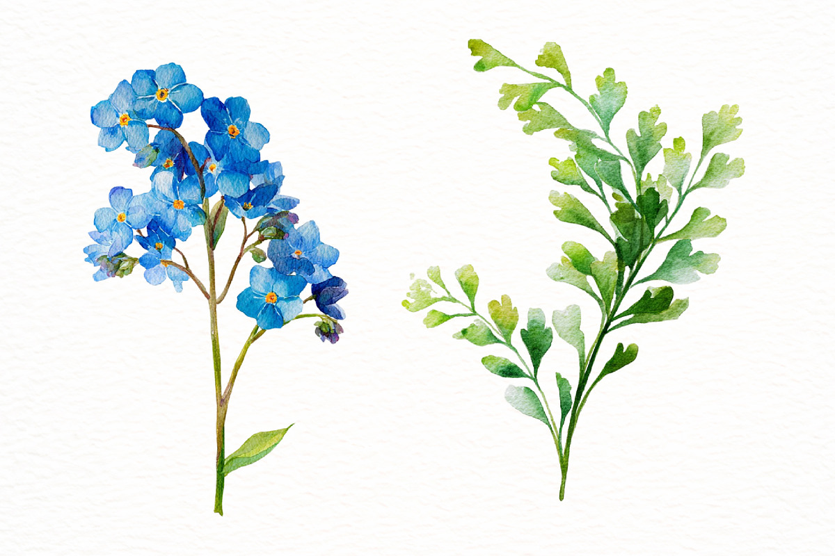 Watercolor Spring Flowers Clipart, an Illustration by Designworld (Photo 6 of 6)
