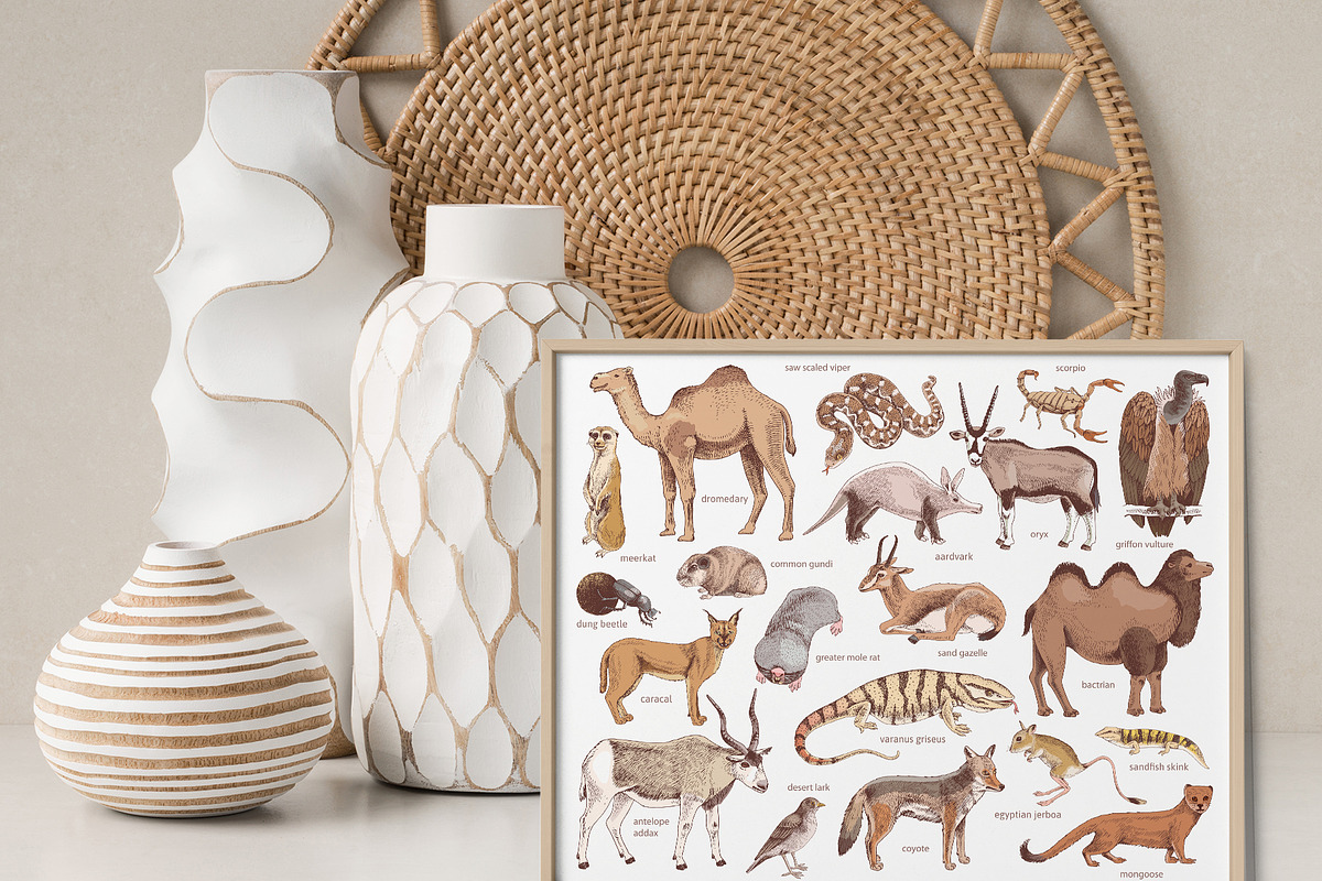 Desert animals collection, an Animal Illustration by handsketched (Photo 2 of 9)