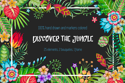 Discover the tropical jungle