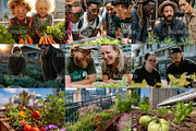 90 Community Garden Stock Photos, a Nature Photo by Incomelion (Thumbnail 15 of 17)
