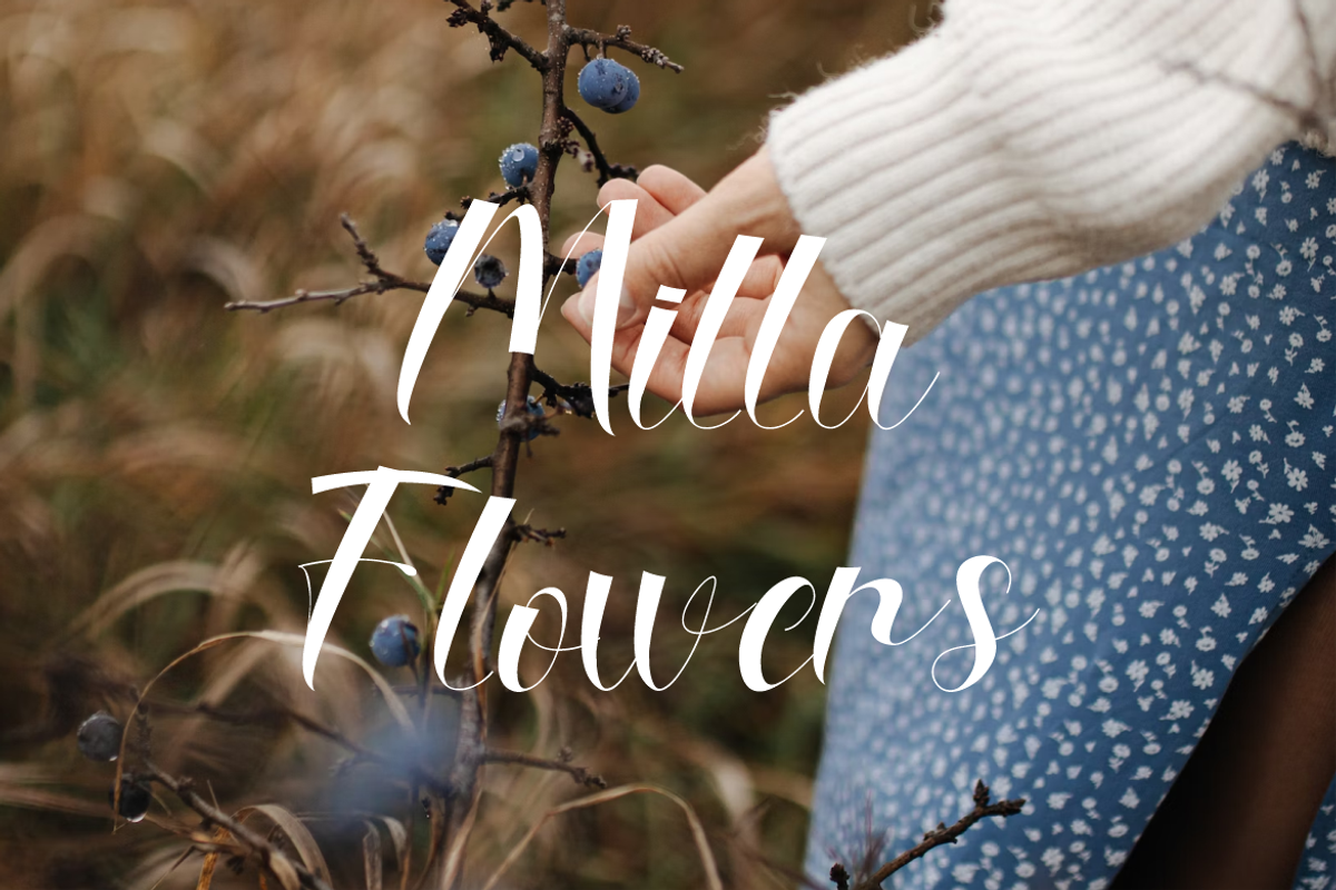 Millariana Handwritten Font., a Handwritten Font by VectorCraft (Photo 2 of 5)