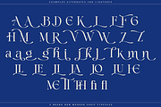 Champles A Modern Serif Typeface, a Serif Font by Comactype Foundry (Thumbnail 17 of 20)