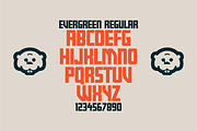 Evergreen Font | 7 Bold Styles, a Sans Serif Font by Bend Industries (Thumbnail 5 of 7)