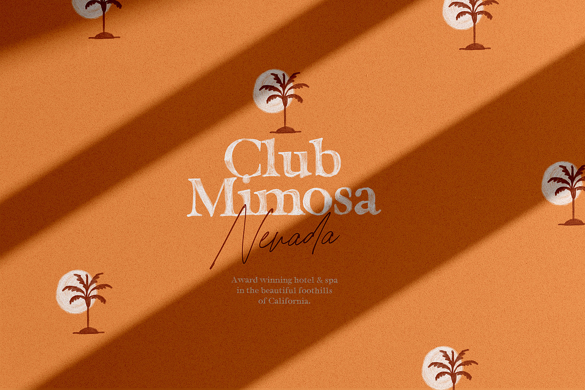 California Palms Fonts & Graphics, a Serif Font by Nicky Laatz (Photo 21 of 48)