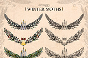 Winter Moths & Evergreen Botanicals, a Seasonal Illustration by Ink Stories (Thumbnail 14 of 15)