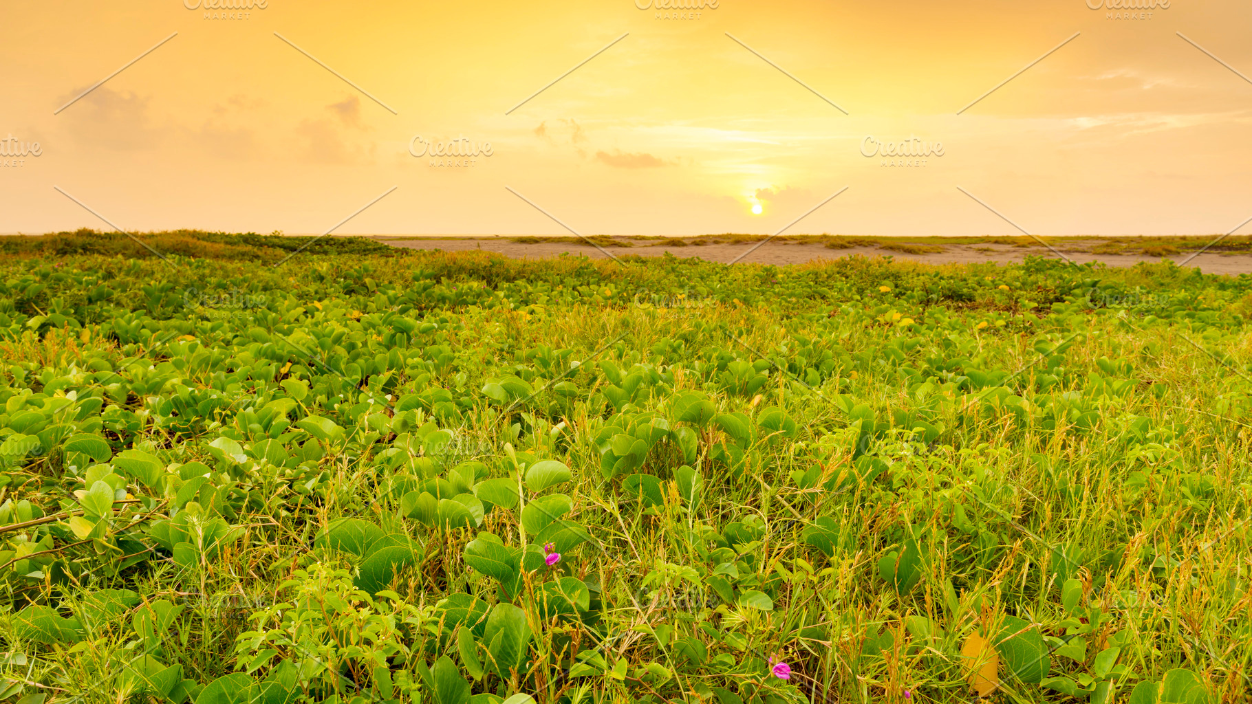 Playa Linda Landscape Mexico, a Nature Photo by THP Creative