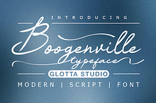Boogenville #02