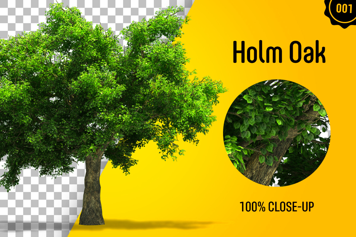 CUT OUT TREES - 60 PCS BUNDLE, a Packaging Mockup by 3DSTORE (Photo 2 of 63)