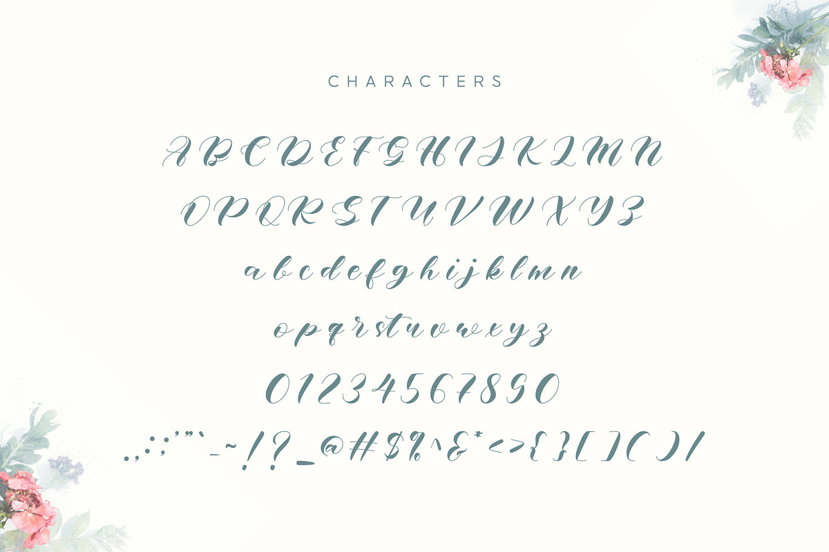 Whitney - Script Font, a Script Font by Salamahtype