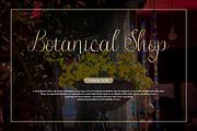 Jump Wings Script Fonts, a Script Font by mahstudios (Thumbnail 9 of 15)