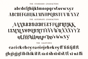 Shafira, a Serif Font by Umitype (Thumbnail 14 of 16)