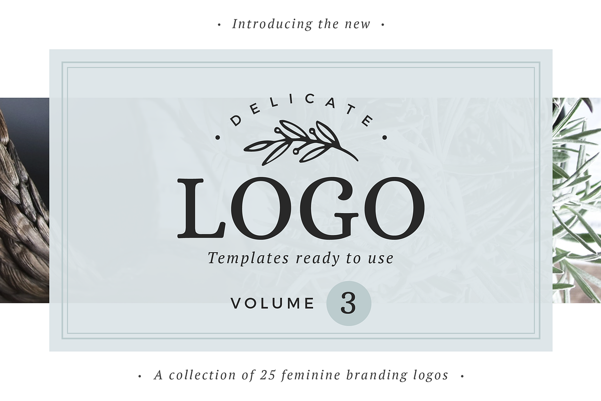 25 Delicate Feminine Logos - Vol 3, a Branding & Logo Template by Davide Bassu (Photo 1 of 6)