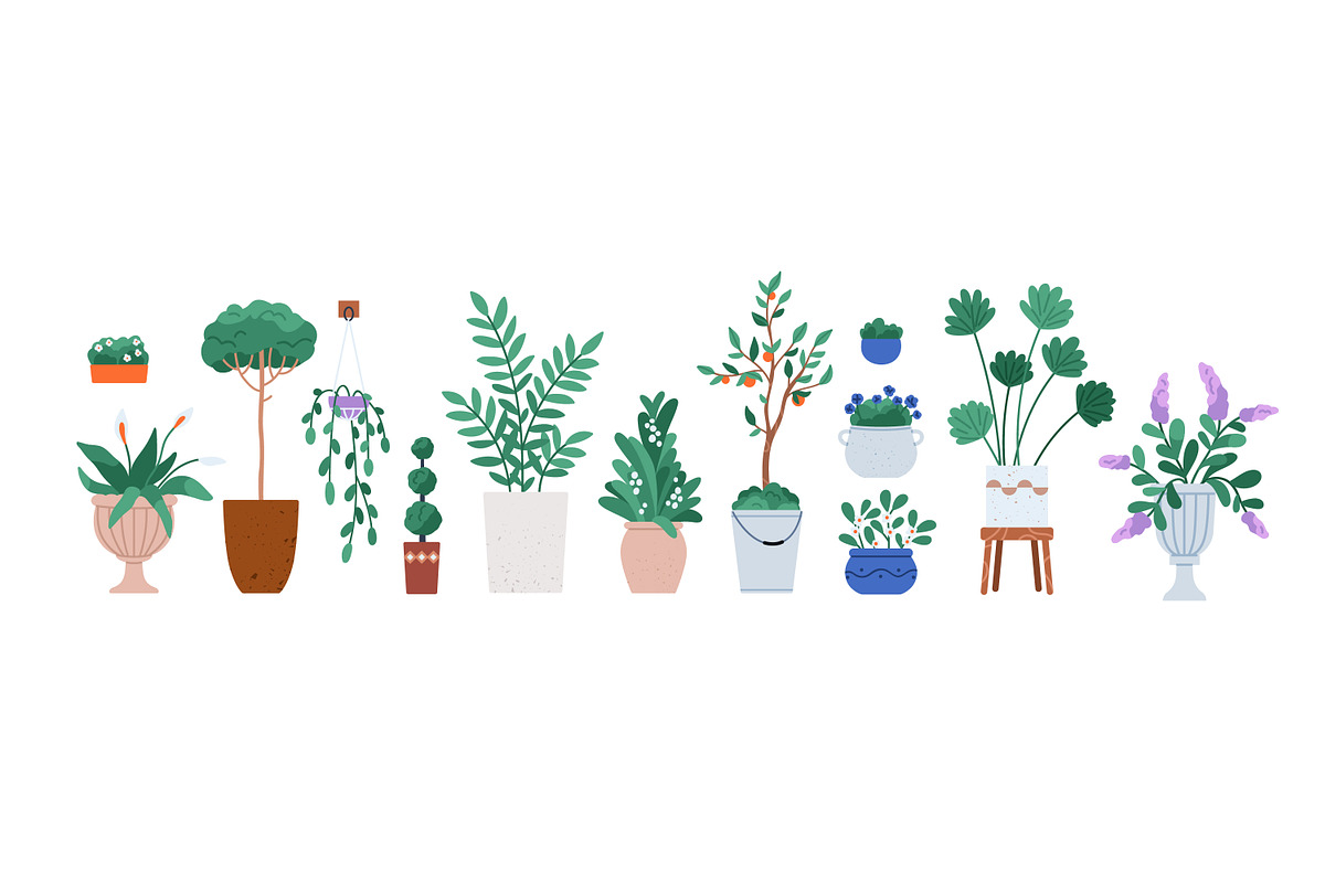 House plants, flowers in pots set, an Object Illustration by Good Studio (Photo 2 of 5)