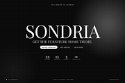 Sondria Shopify Theme, a Shopify Template by Ibnul Jaif Farabi (Thumbnail 8 of 8)